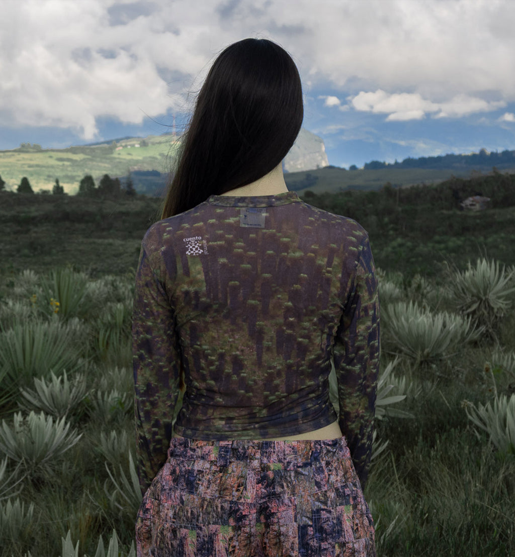 Top Frailejón: Páramo