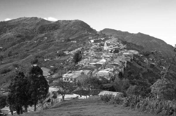 Imagen 6