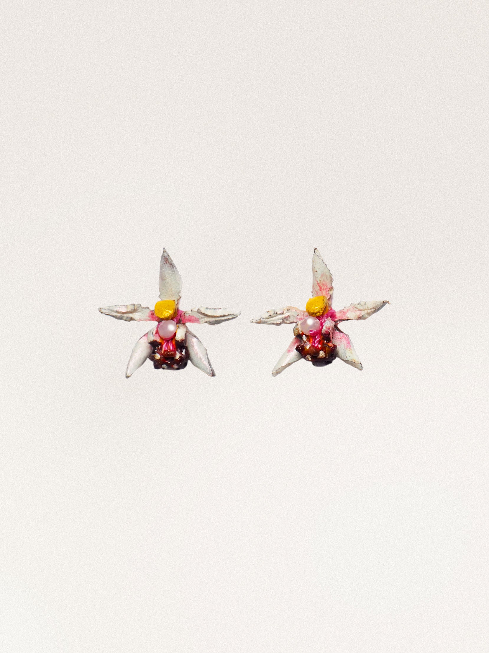 Orecchini Cymbidium Piccolo