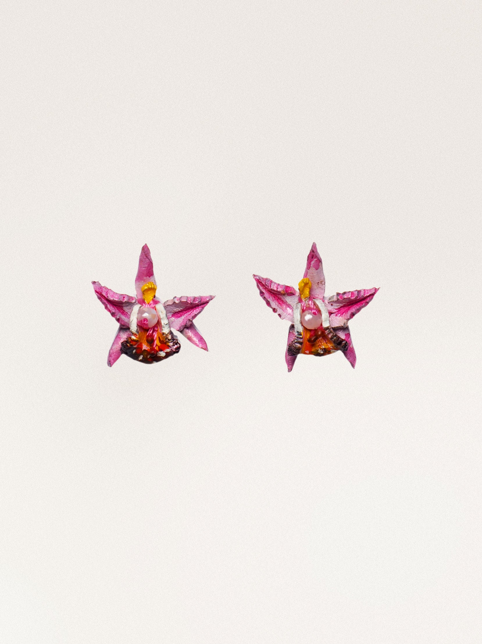Orecchini Cymbidium Piccolo