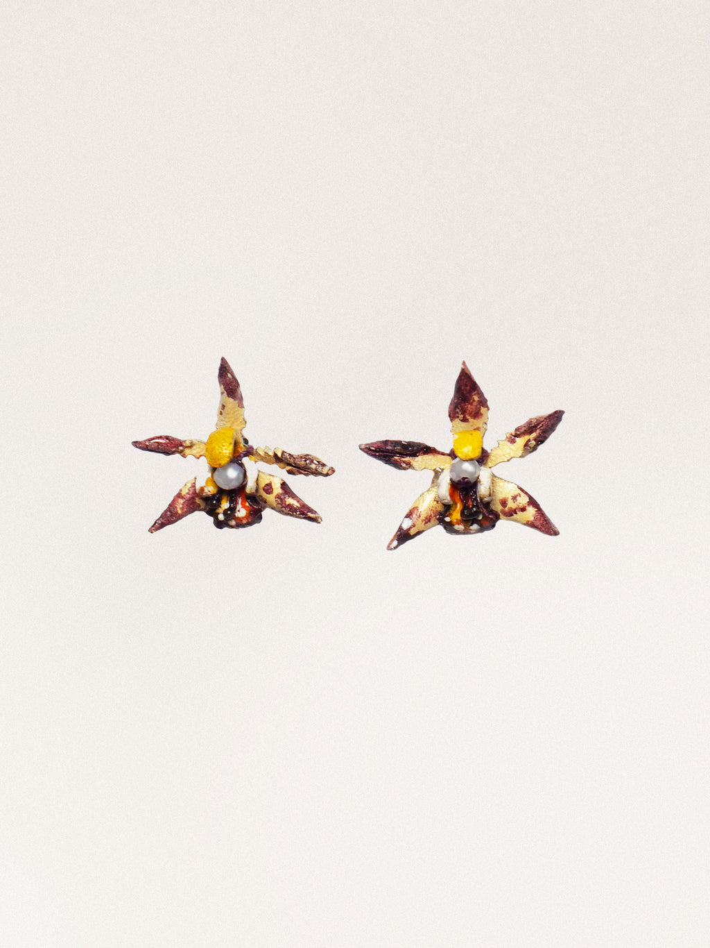 Orecchini Cymbidium Piccolo