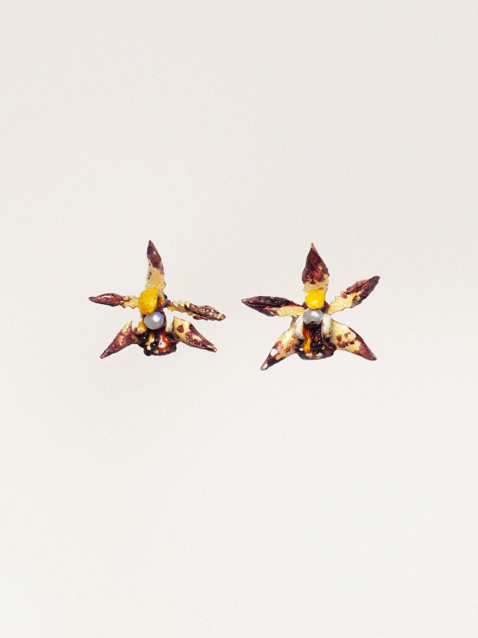 Orecchini Cymbidium Piccolo