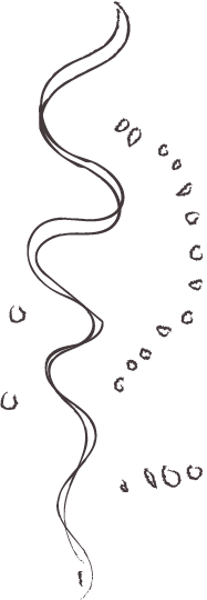 Vector izquierdo